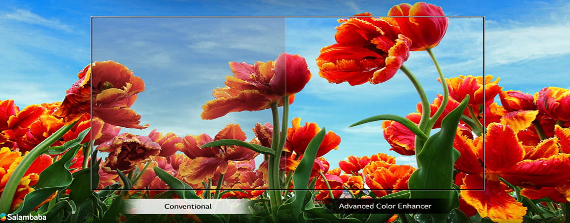 تقویت کننده رنگ با تلویزیون 4K ال جی LM5700